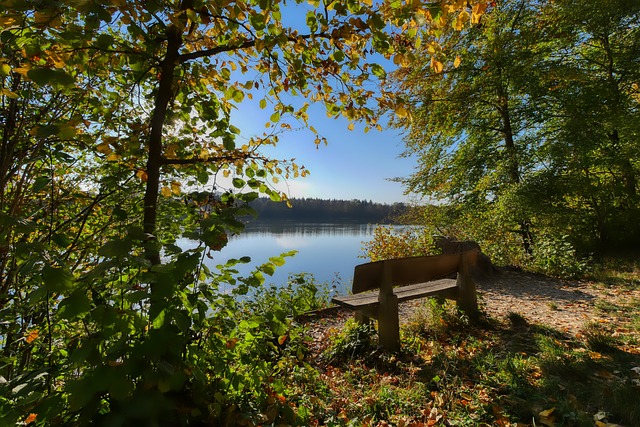 博队逆袭成 博队逆袭成