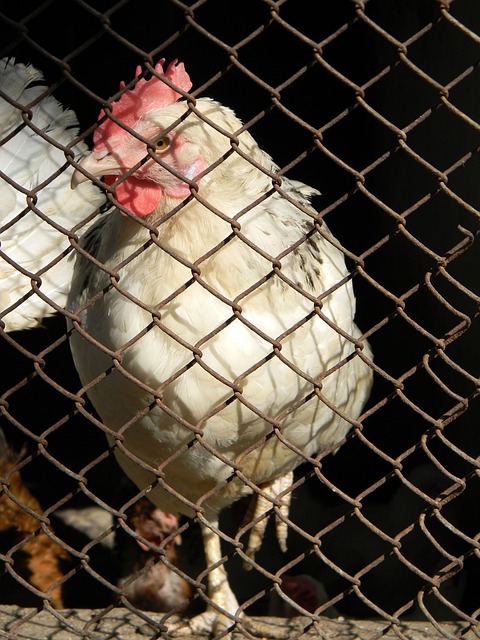 了广厦的得 了广厦的得