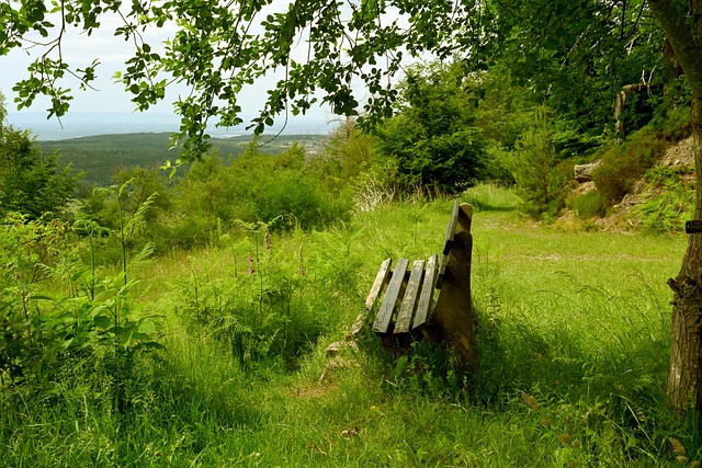 成年人严重 成年人严重